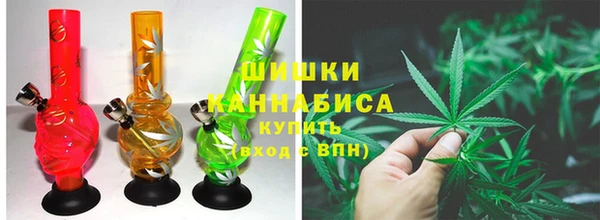 амф Пересвет