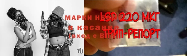 ПСИЛОЦИБИНОВЫЕ ГРИБЫ Алзамай