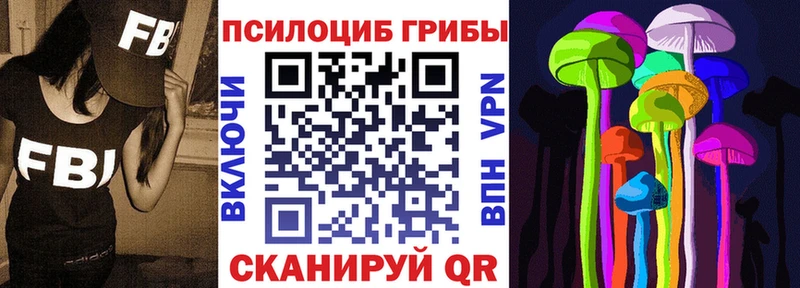 Псилоцибиновые грибы MAGIC MUSHROOMS  где купить наркоту  Котовск 